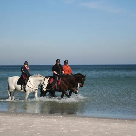 公寓 Strandblick 10